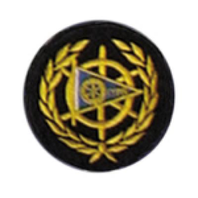Badge per Blazer
